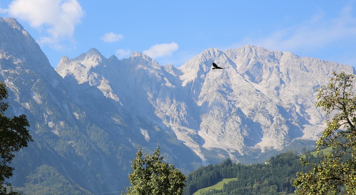 Alpenpanorama mit einem Vogel im Flug — Sinnbild für Unabhängigkeit und Naturverbundenheit.