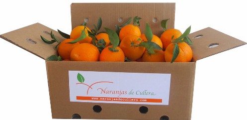 Oranges