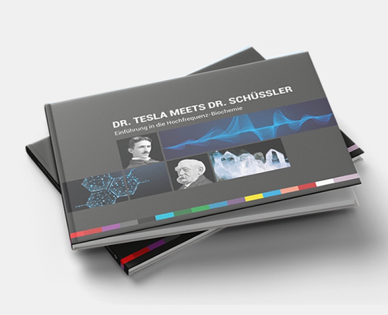 Book "Schüssler meets Tesla"