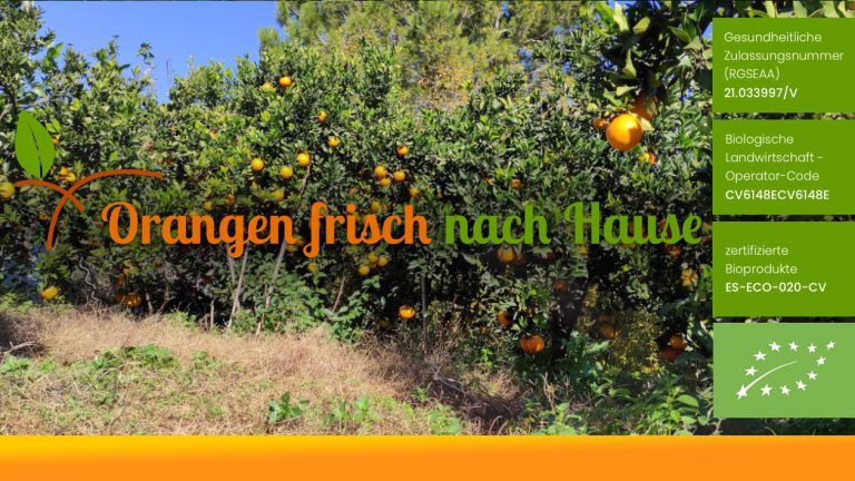 Orangen Frisch Nach Hause Direktversand