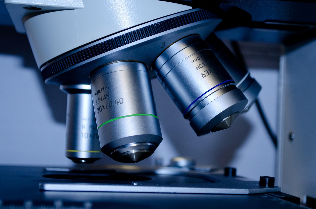 DMSO: Neurodegenerative Erkrankungen, Psyche und Entwicklung