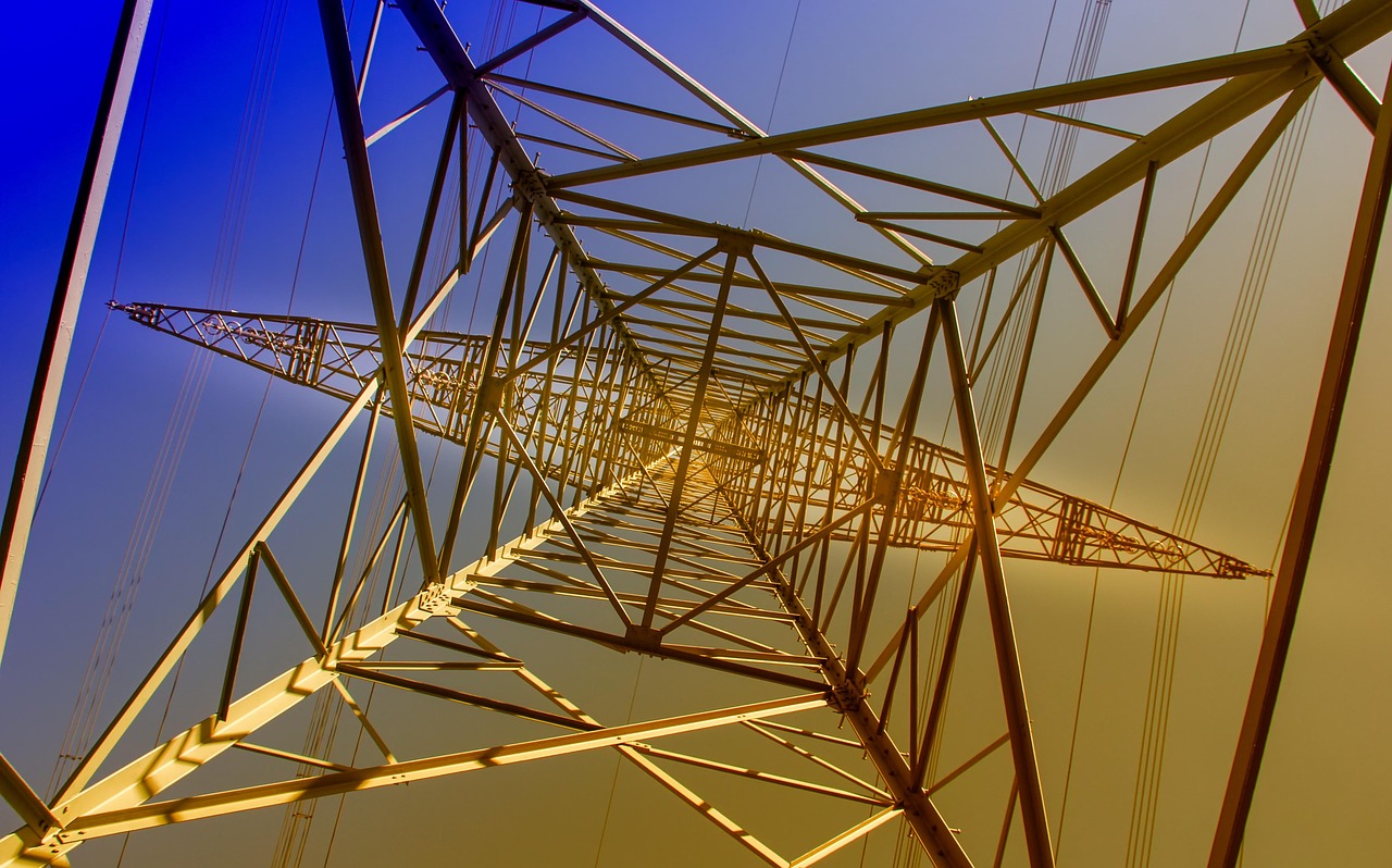 Grid Integration Challenges